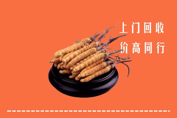 高价求购：郑州市管城区回收散虫草