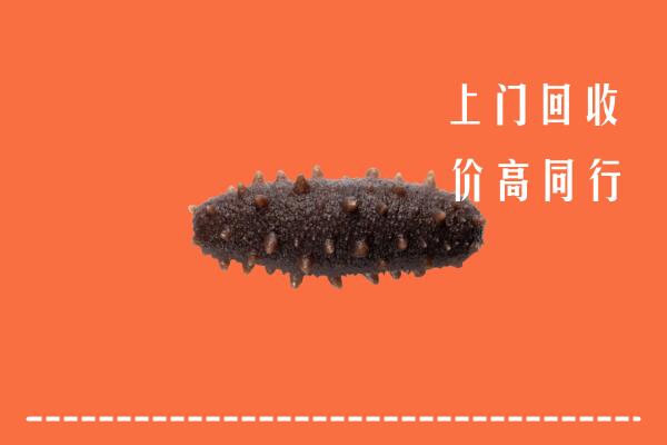 高价求购：郑州市管城区回收海参